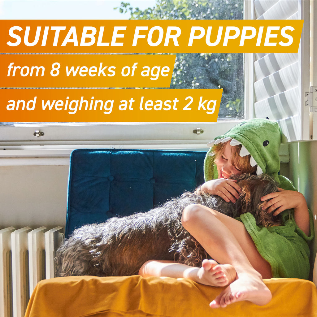 Frontpro Tablet Dog 136MG >25-50KG