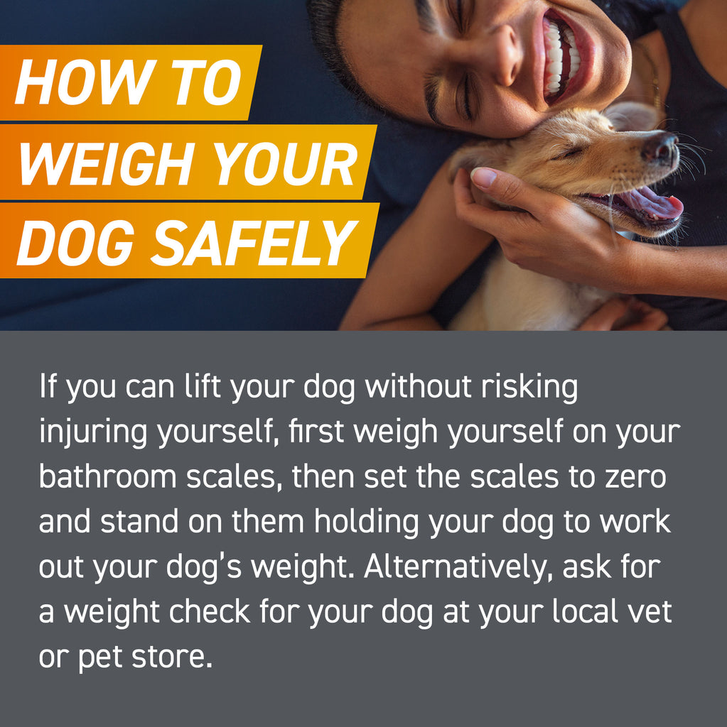 Frontpro Tablet Dog 136MG >25-50KG