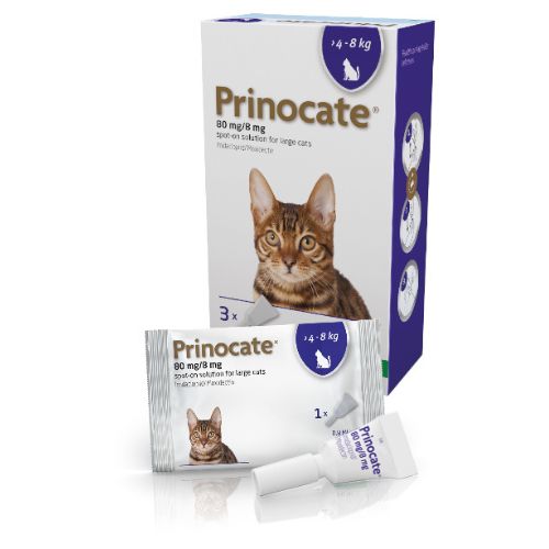 Prinocate Spot-On for Cats Ferrets – 40/4mg 80/8mg
