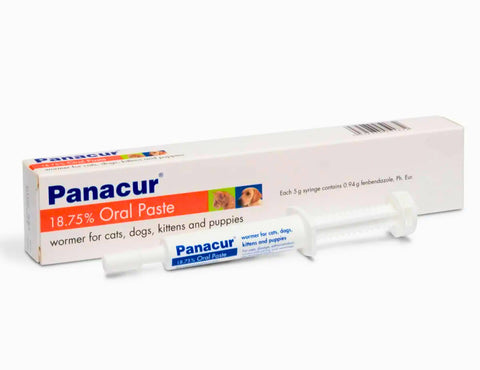 Panacur Paste Wormer for Cats, Dogs, Kittens and Puppies 187.5mg/g