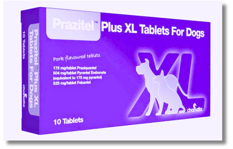 Prazitel Plus XL Flavour Tablets for Large Dogs