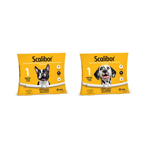 Scalibor Protector Band for Dogs