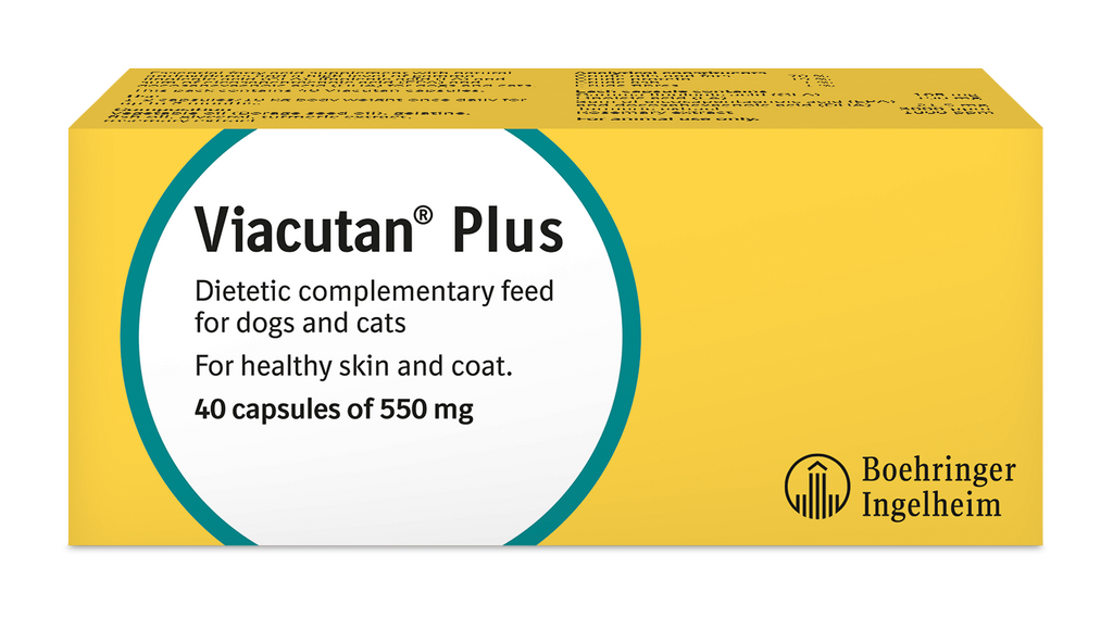 Viacutan Plus Capsules