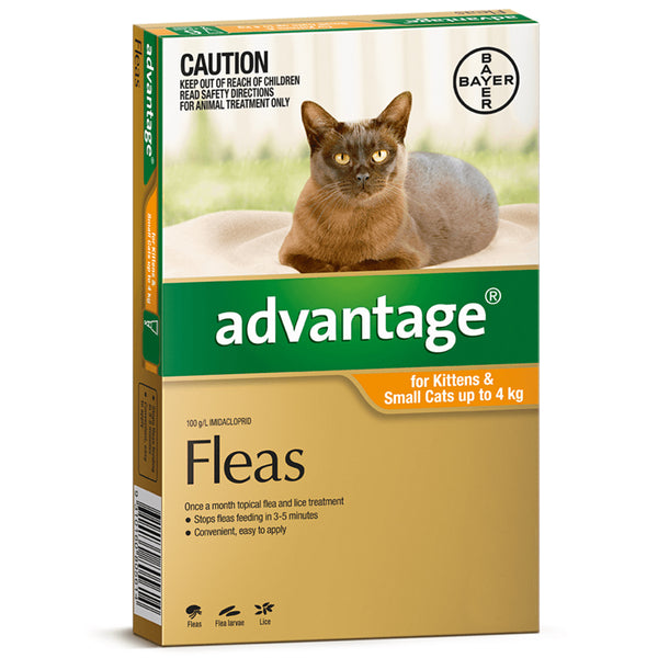 Advantage for cats near me hot sale