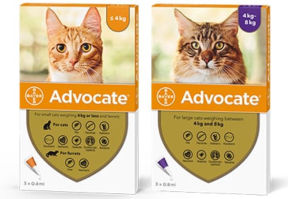 Advocate for Cats Flea Treatment Vetscriptions - Main Image