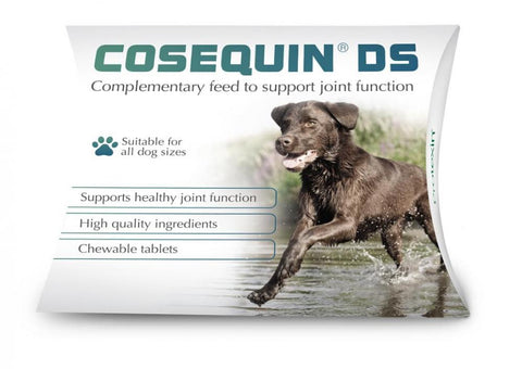 Cosequin DS (Pack of 120)