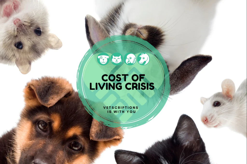 Owning Pets During the Cost of Living Crisis: Helpful tips for 2023