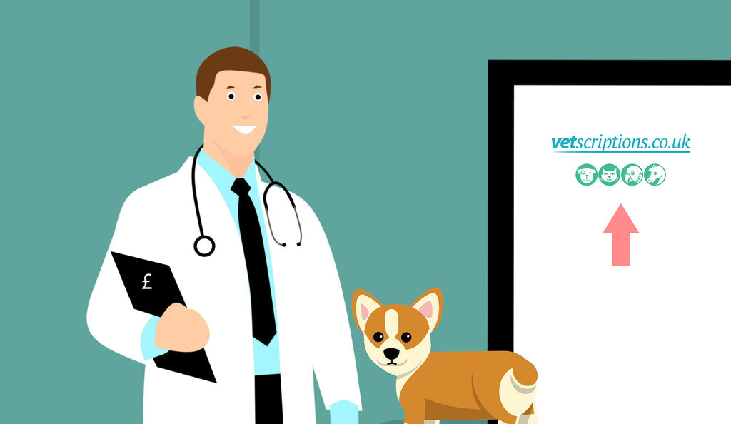 Why are Vets so Expensive?