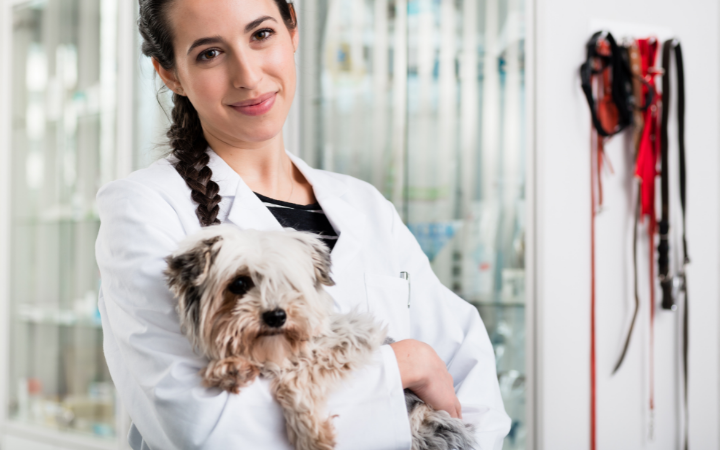 Your Puppy's Health