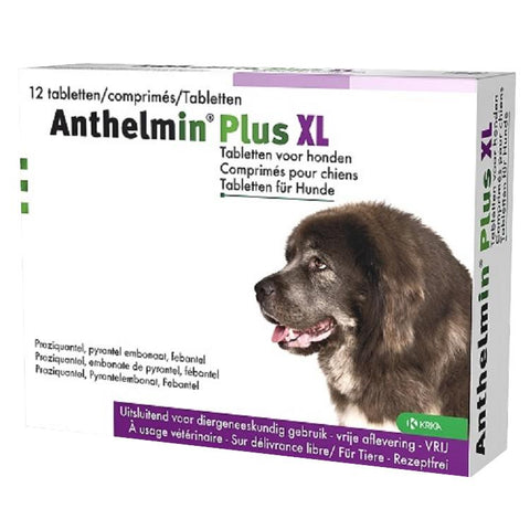 Anthelmin Plus XL Tablets for Large Dogs