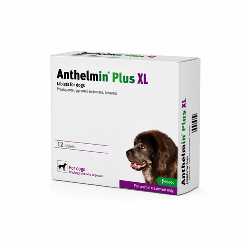 Anthelmin Plus XL Tablets for Large Dogs