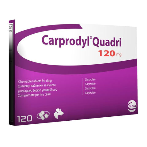 Carprodyl Quadri 120mg Tablets for Dogs (prescription only)