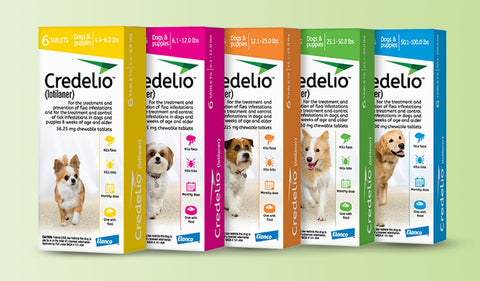 Credelio Chewable Tablets for Dogs (Pack of 6) (Prescription Required)