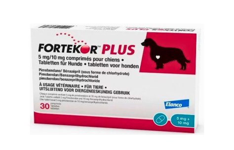 Fortekor Plus for Dogs