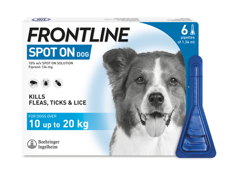 Frontline large 2024