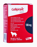 Galliprant Tablets for Dogs (prescription required)