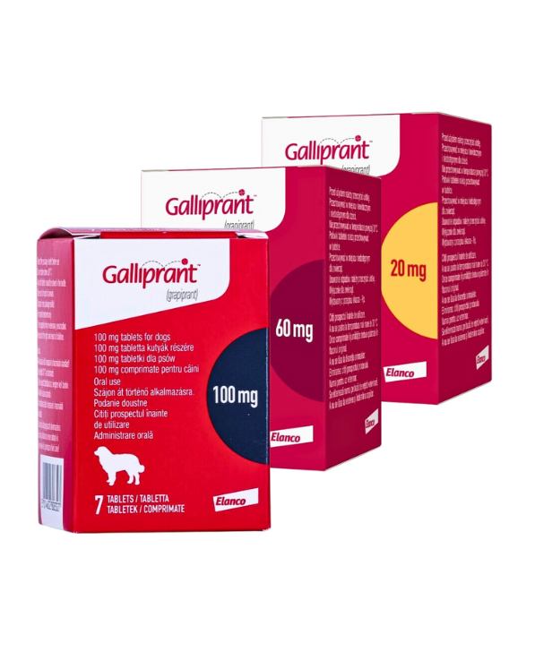 Galliprant for hot sale dogs 60 mg