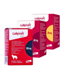 Galliprant Tablets for Dogs (prescription required)