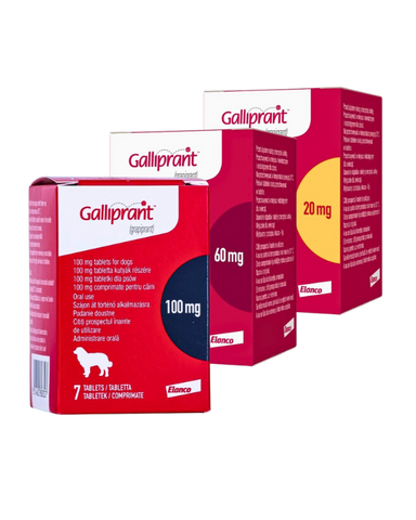 Galliprant 20mg deals tablets