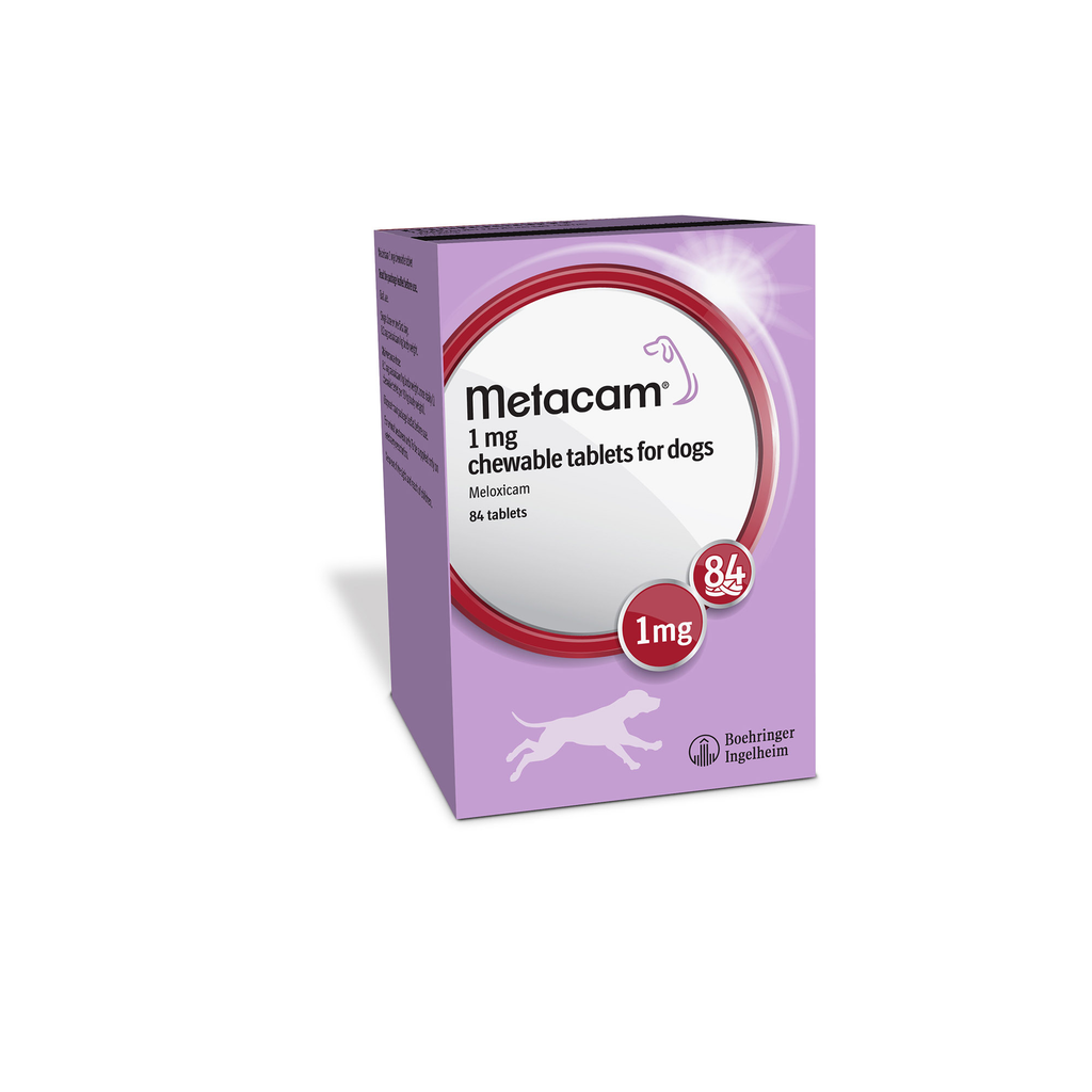 Meloxicam 2024 and metacam