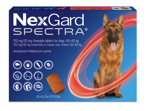 Nexgard spectra best sale large dog