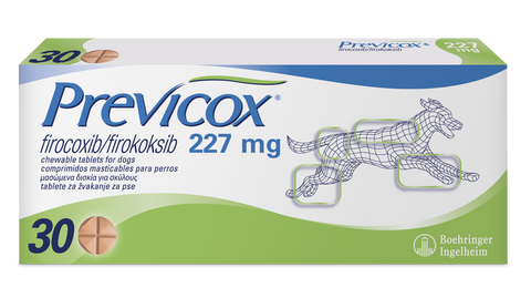 Previcox 57 mg 30 best sale tablets