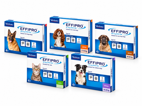 Effipro Spot on For Dogs (4 pipettes)
