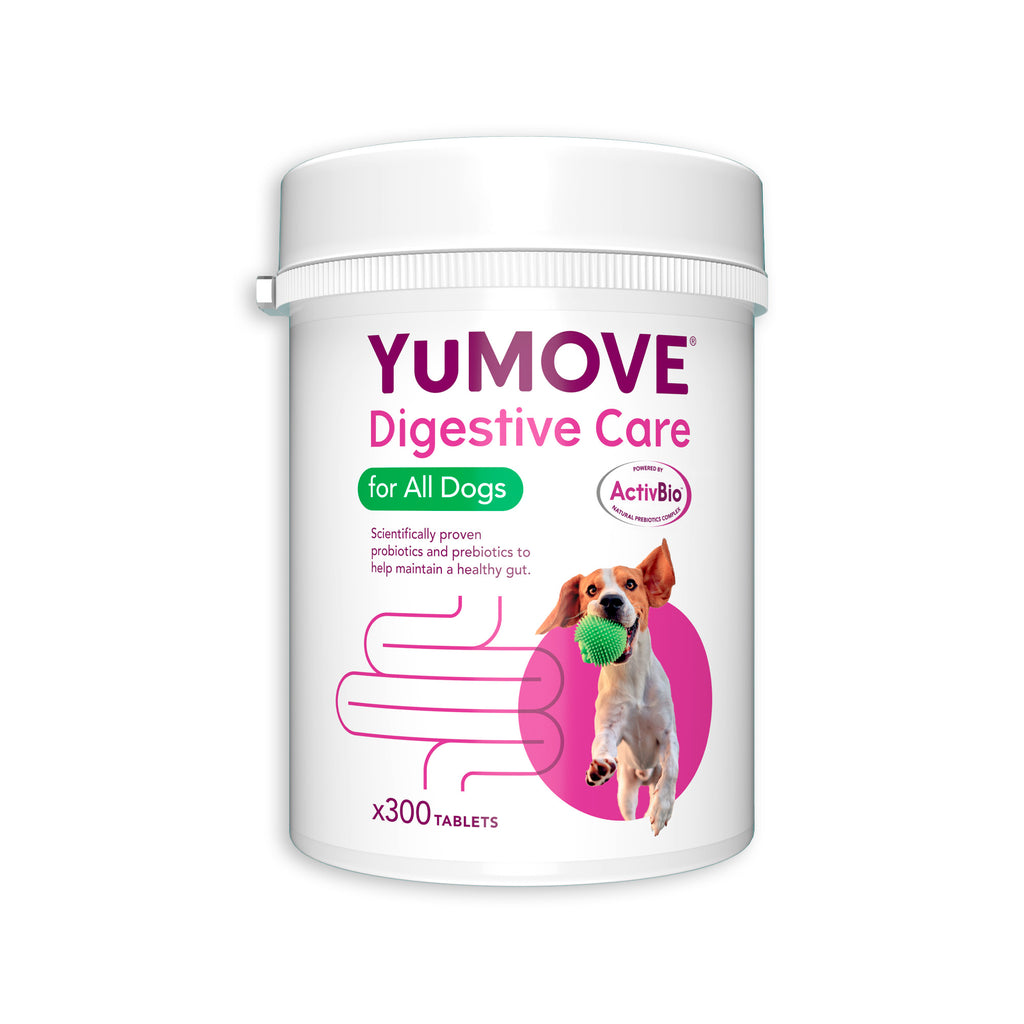 YuMOVE Digestive Care for all dogs Vetscriptions