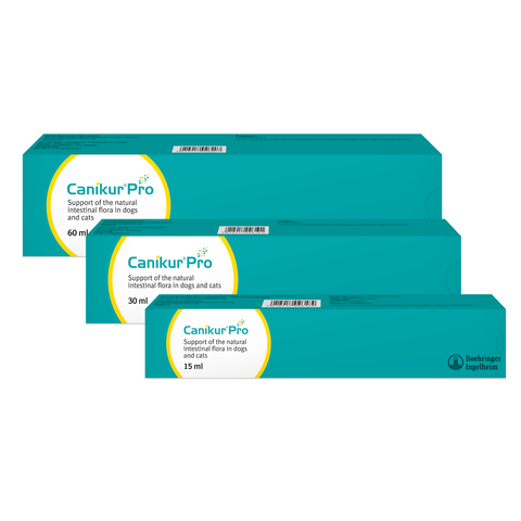 Canikur Pro Paste