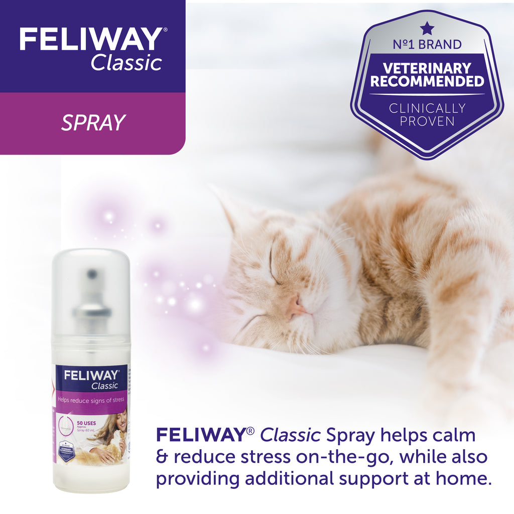 Feliway Spray – Vetscriptions
