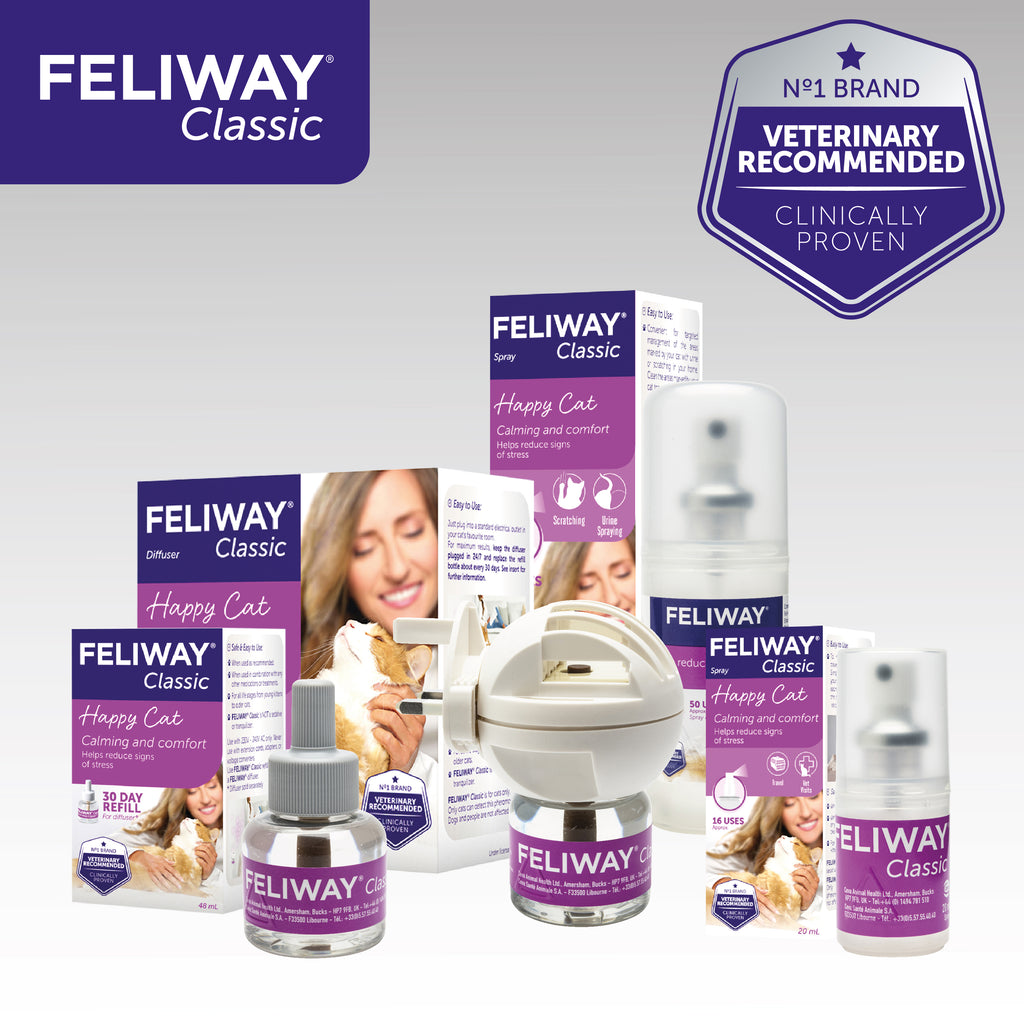 Feliway Spray – Vetscriptions - Main Image