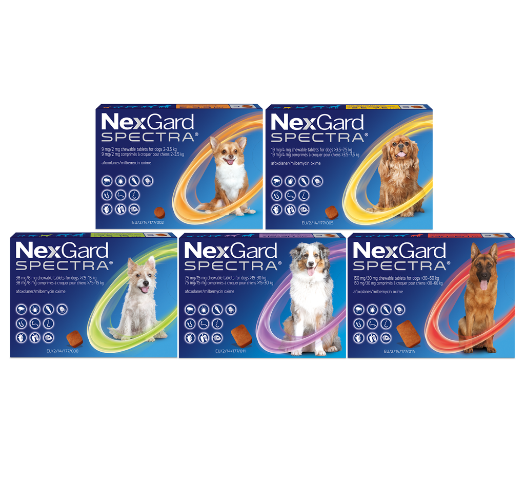 NexGard Spectra 3 Deworming Chewable Tablets for Dogs 3.6 kg-7.5