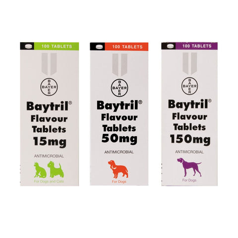 Baytril Flavour Tablets (Prescription Required)