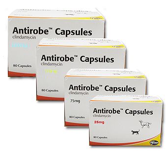 antirobe capsules