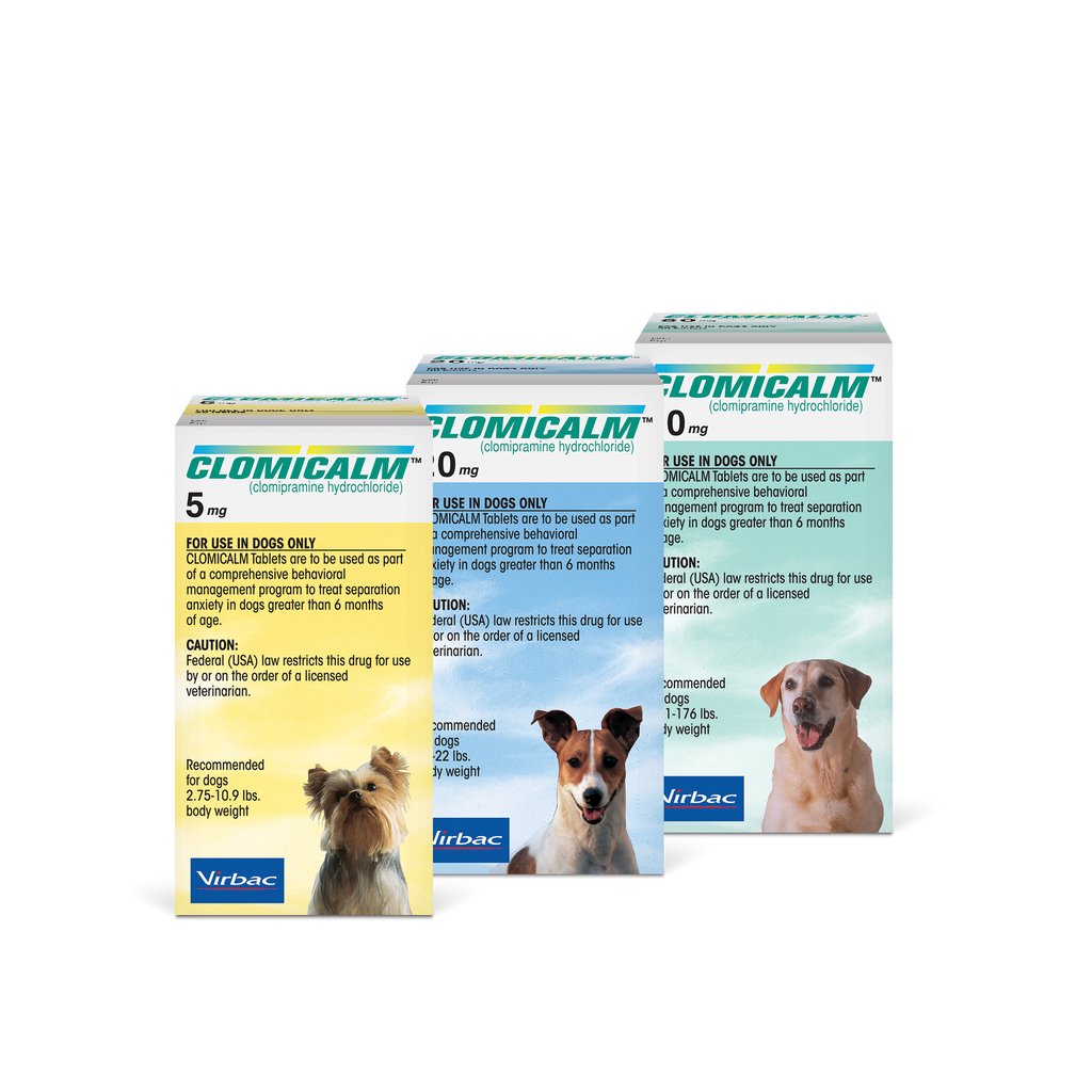 Dog prescriptions online
