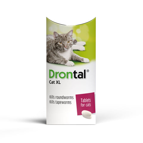 drontal for cats