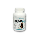 HepatX