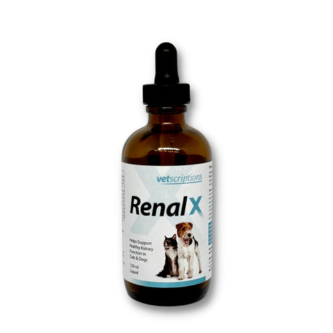 RenalX Liquid 120ml