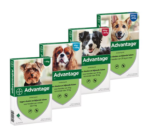 Cheap 2024 dog medicine