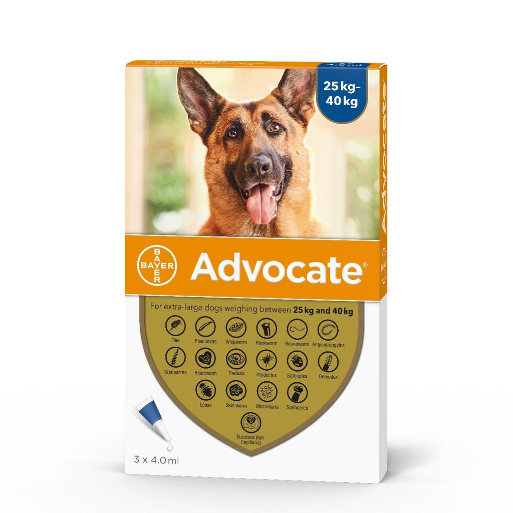 Advocate for Dogs - Flea treatment (Prescription Required)