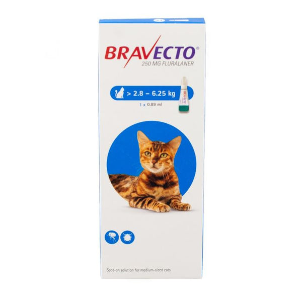 Bravecto Spot On Solution for Cats (Prescription required) – Vetscriptions