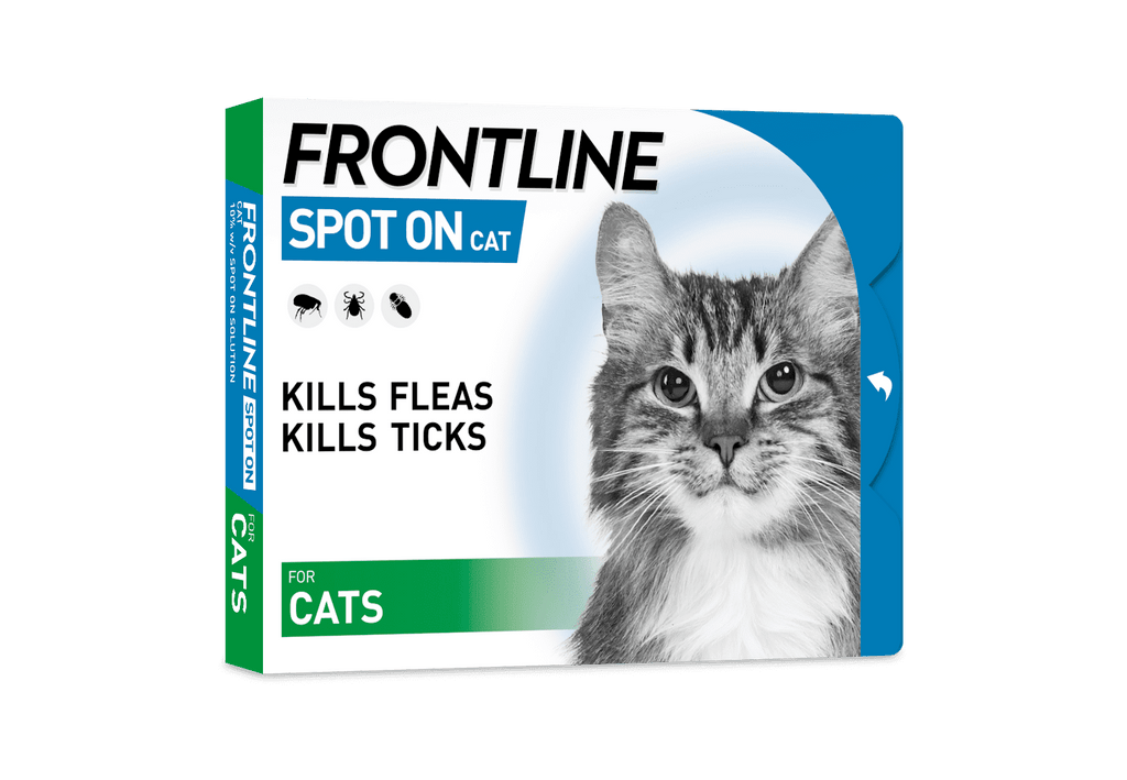 Frontline kitten sales