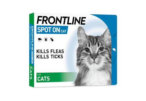 frontline spot on cat