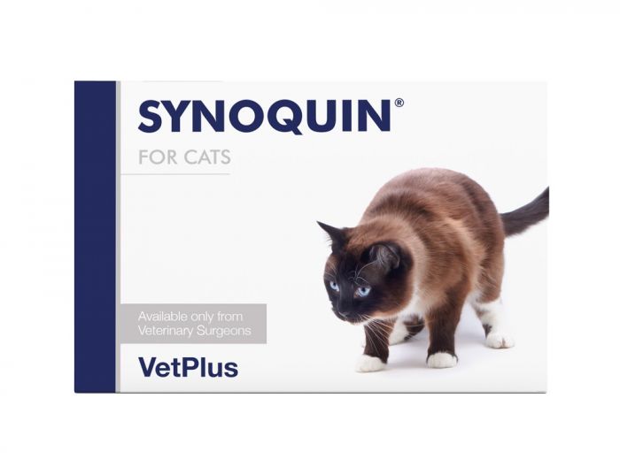 synoquin for cats