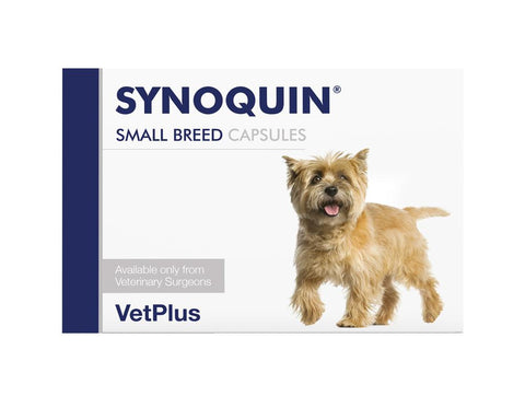 SYNOQUIN CAPSULES